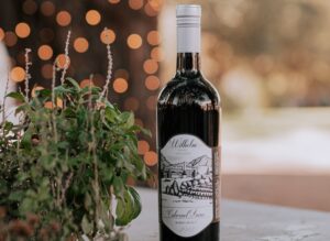 A bottle of our 2012 Cabernet Franc red wine next to a plant and in front of sparkling lights