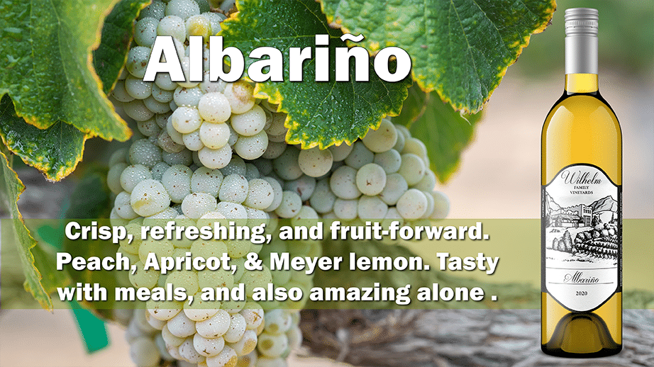 Albarino Bottle with grapes and description