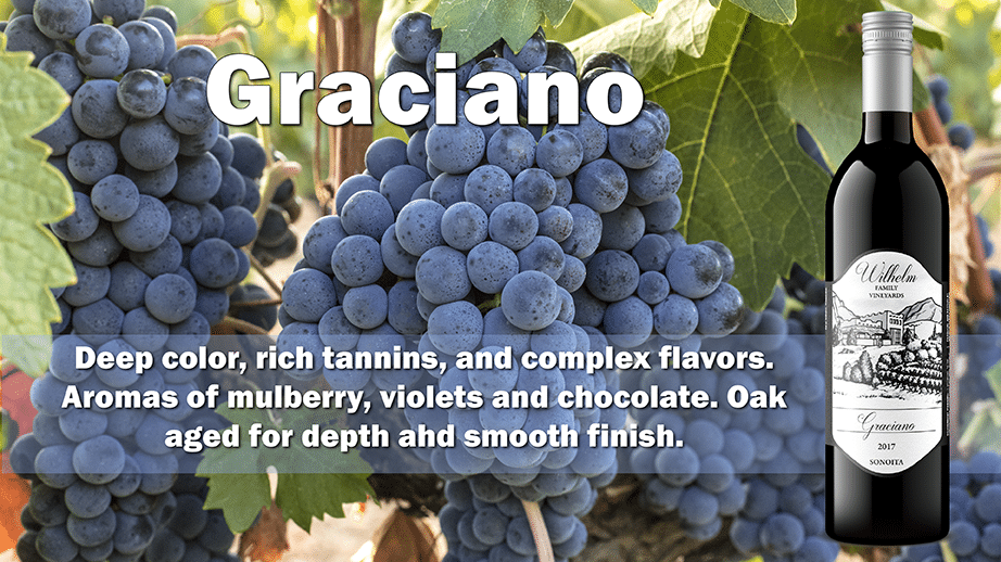 Bottle of Graciano with Grapes and Desciption