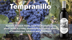 Bottle of Tempranillo with Grapes and Description
