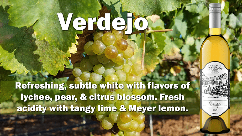 Bottle of Verdo with Verdejo Grapes and Descriptin